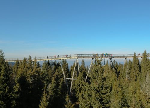 Summit & Bridge